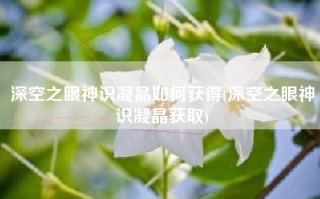 深空之眼神识凝晶如何获得(深空之眼神识凝晶获取)