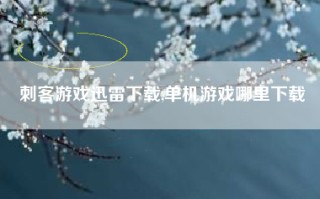 刺客游戏迅雷下载,单机游戏哪里下载