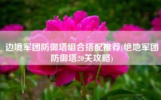 边境军团防御塔组合搭配推荐(绝地军团防御塔20关攻略)