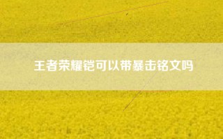 王者荣耀铠可以带暴击铭文吗
