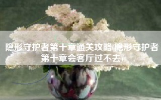 隐形守护者第十章通关攻略(隐形守护者第十章会客厅过不去)