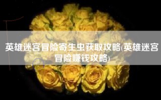 英雄迷宫冒险寄生虫获取攻略(英雄迷宫冒险赚钱攻略)