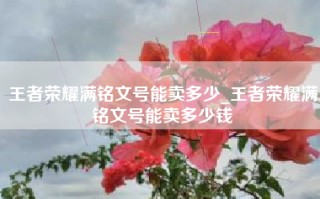 王者荣耀满铭文号能卖多少_王者荣耀满铭文号能卖多少钱