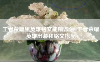 王者荣耀里英雄铭文能销毁么_王者荣耀英雄出装和铭文搭配