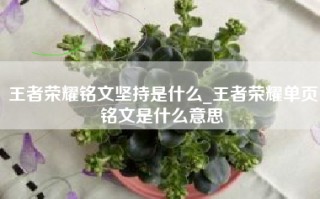 王者荣耀铭文坚持是什么_王者荣耀单页铭文是什么意思