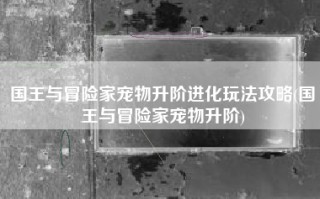 国王与冒险家宠物升阶进化玩法攻略(国王与冒险家宠物升阶)