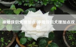 神雕侠侣大理加点(神雕侠侣大理加点攻略)