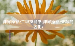 神界原罪2二级技能书(神界原罪2失踪的囚犯)
