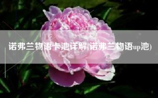 诺弗兰物语卡池详解(诺弗兰物语up池)