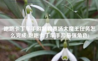 跑跑卡丁车手游制霸赛场大魔王任务怎么完成(跑跑卡丁车手游最强角色)