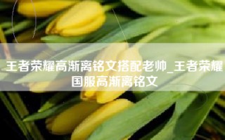 王者荣耀高渐离铭文搭配老帅_王者荣耀国服高渐离铭文