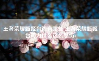 王者荣耀甄姬台词有哪些(王者荣耀甄姬台词为什么这么悲伤)