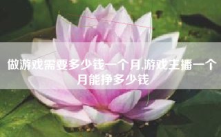 做游戏需要多少钱一个月,游戏主播一个月能挣多少钱