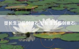 觅长生三品剑痕石(觅长生五品剑痕石)