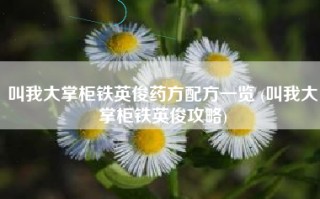 叫我大掌柜铁英俊药方配方一览 (叫我大掌柜铁英俊攻略)