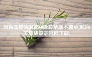 航海王燃烧意志60级装备继不继承(航海王燃烧意志官网下载)