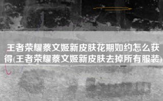 王者荣耀蔡文姬新皮肤花期如约怎么获得(王者荣耀蔡文姬新皮肤去掉所有服装)