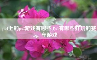 ps4上的ps2游戏有哪些,Ps4有哪些好玩的赛车游戏