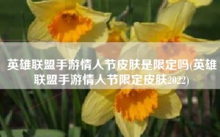 英雄联盟手游情人节皮肤是限定吗(英雄联盟手游情人节限定皮肤2022)