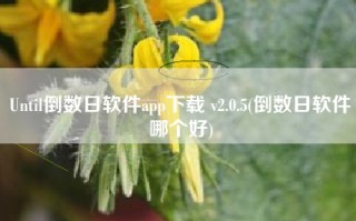 Until倒数日软件app下载 v2.0.5(倒数日软件哪个好)