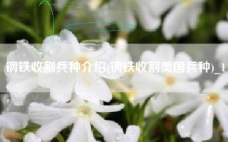 钢铁收割兵种介绍(钢铁收割美国兵种)_1