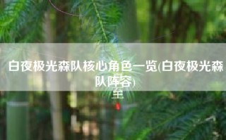 白夜极光森队核心角色一览(白夜极光森队阵容)