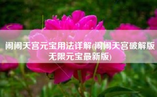 闹闹天宫元宝用法详解(闹闹天宫破解版无限元宝最新版)