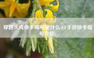 穿越火线快手暗号是什么(CF手游快手暗号介绍)