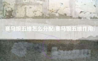 赛马娘五维怎么分配(赛马娘五维作用)