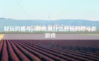 好玩的格斗pc游戏,有什么好玩的格斗类游戏