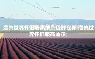 魔兽世界怀旧服高地杂鱼群在哪(魔兽世界怀旧服高迪尔)