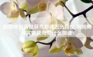阴阳师待宵姑获鸟御魂怎么搭配(阴阳师待宵姑获鸟带什么御魂)