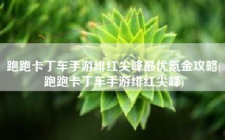 跑跑卡丁车手游绯红尖峰最优氪金攻略(跑跑卡丁车手游绯红尖峰)