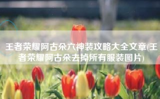 王者荣耀阿古朵六神装攻略大全文章(王者荣耀阿古朵去掉所有服装图片)