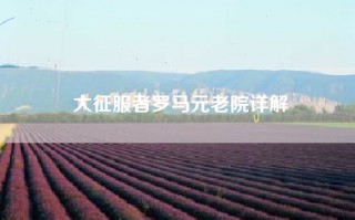 大征服者罗马元老院详解