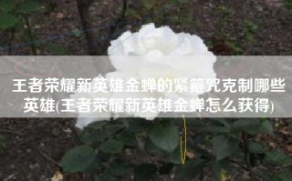 王者荣耀新英雄金蝉的紧箍咒克制哪些英雄(王者荣耀新英雄金蝉怎么获得)