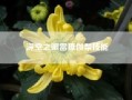 深空之眼雷獠伽梨技能