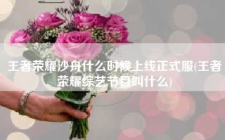 王者荣耀沙舟什么时候上线正式服(王者荣耀综艺节目叫什么)