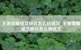 王者荣耀铭文碎片怎么转铭文_王者荣耀铭文碎片怎么换铭文