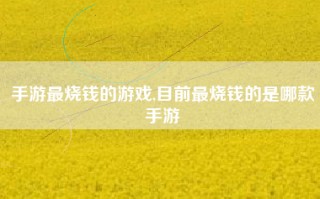 手游最烧钱的游戏,目前最烧钱的是哪款手游
