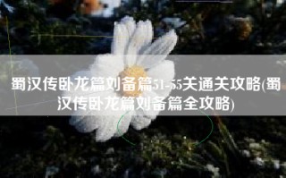 蜀汉传卧龙篇刘备篇51-55关通关攻略(蜀汉传卧龙篇刘备篇全攻略)
