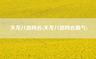 天龙八部网名(天龙八部网名霸气)