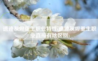 遗迹灰烬重生职业特性(遗迹灰烬重生职业直接有啥区别)