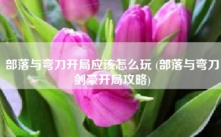 部落与弯刀开局应该怎么玩 (部落与弯刀剑豪开局攻略)