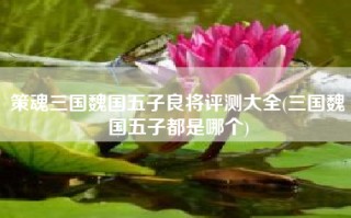 策魂三国魏国五子良将评测大全(三国魏国五子都是哪个)