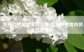 龙族幻想装置系统详解(龙族幻想提纯装置怎么更换)