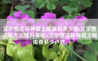 艾尔登法环等级上限最高多少级(艾尔登法环怎么提升等级)(艾尔登法环等级上限需要多少卢恩)
