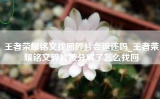 王者荣耀铭文找回碎片会返还吗_王者荣耀铭文碎片被分解了怎么找回