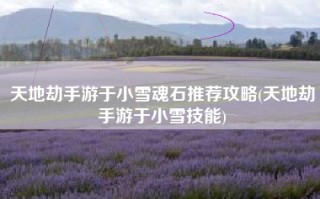 天地劫手游于小雪魂石推荐攻略(天地劫手游于小雪技能)