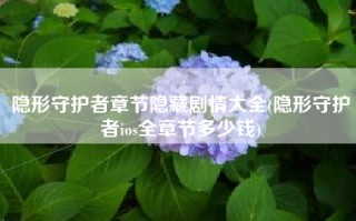 隐形守护者章节隐藏剧情大全(隐形守护者ios全章节多少钱)